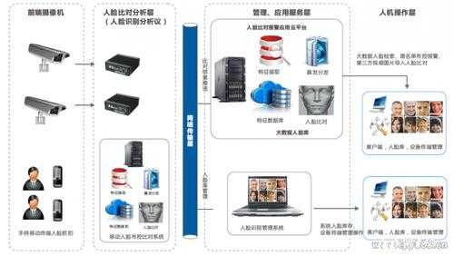 智能识别脚本究竟是什么：深入解读其含义与作用