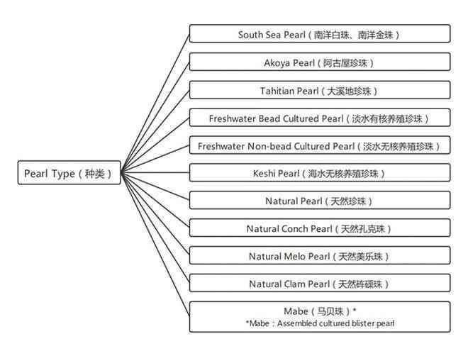 全面指南：如何准确查询工程检测报告的真伪与验证方法