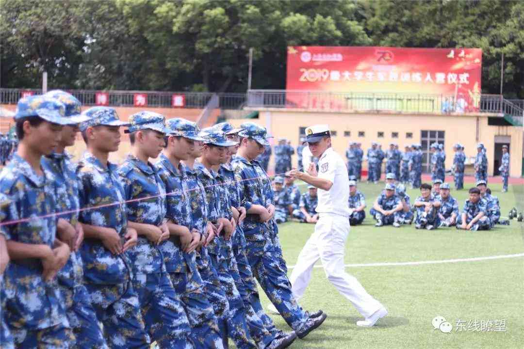 大学生视角下的社会热点现象深度解析与调查数据综述