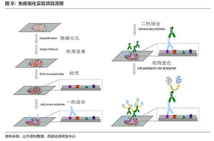 ai生成行业分析报告怎么写