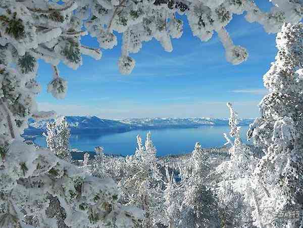 冬日雪地里的纯净世界：如何让人通过文案仿佛置身唯美雪景中