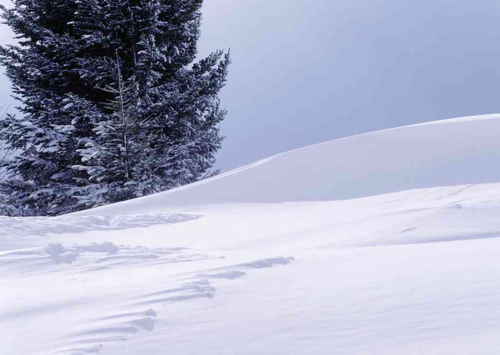 冬日雪地里的纯净世界：如何让人通过文案仿佛置身唯美雪景中