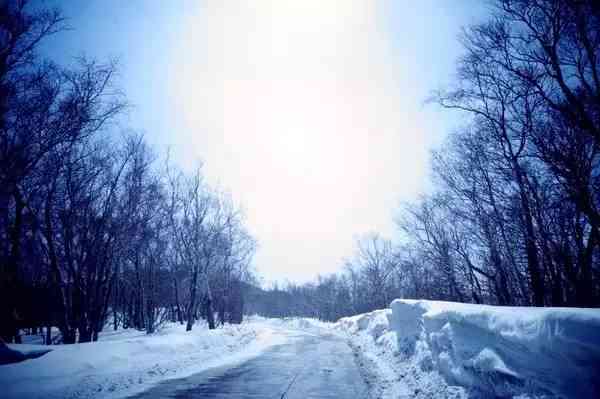 冬日雪地里的纯净世界：如何让人通过文案仿佛置身唯美雪景中