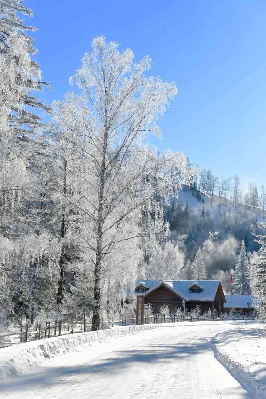 冬日雪地里的纯净世界：如何让人通过文案仿佛置身唯美雪景中