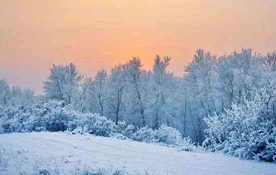 冬日雪地里的纯净世界：如何让人通过文案仿佛置身唯美雪景中