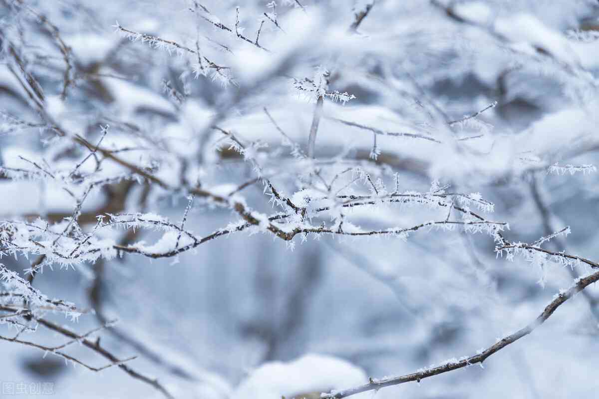 雪景照的文案-雪景照文案古诗