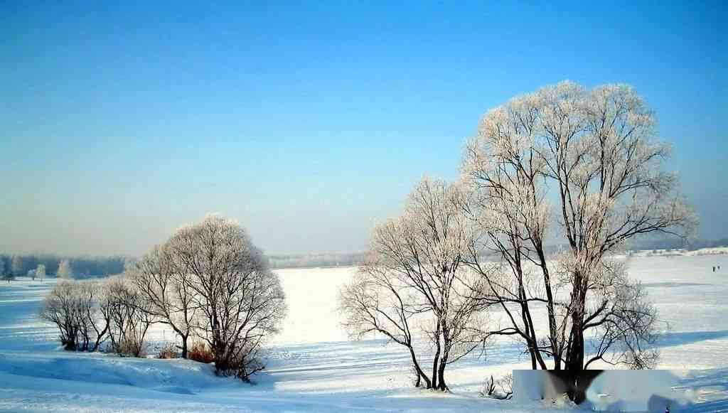 冬日雪景摄影分享：打造独特雪花说说文案指南