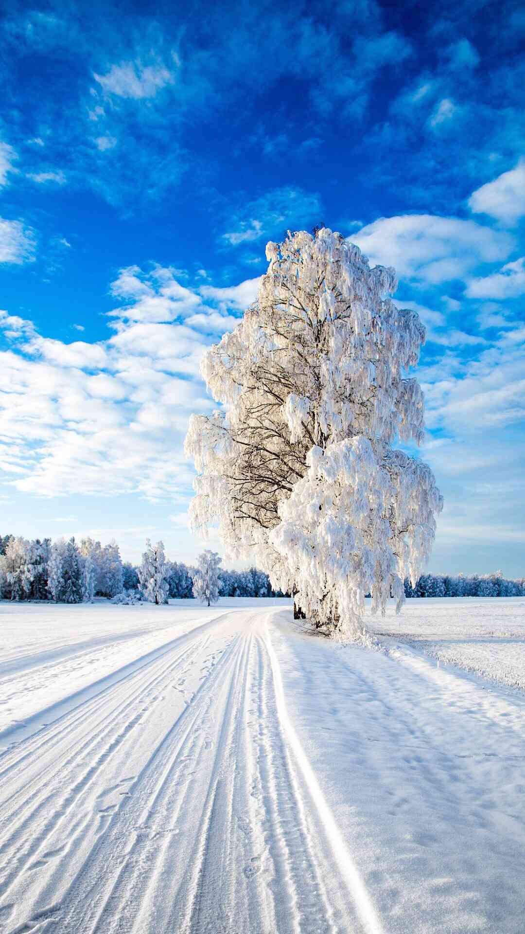 冬日雪景摄影分享：打造独特雪花说说文案指南