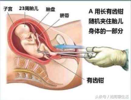 全方位攻略：人工智能应用与推广创意广告语汇编，解决用户搜索痛点与需求