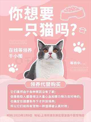 猫咪ai文案素材