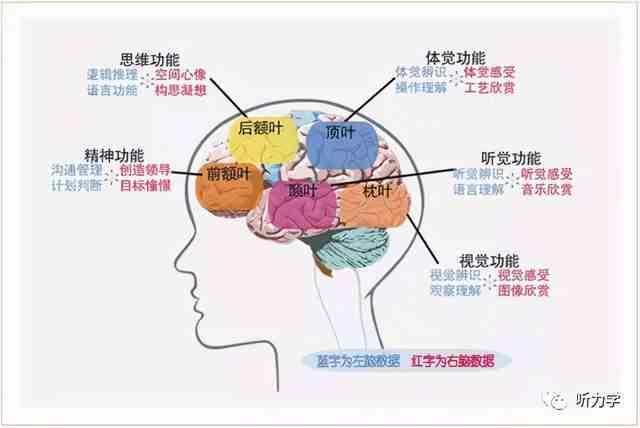 探索尼克区：揭秘大脑中掌管语言的神秘区域——尼克与尼克之关联