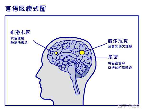 探索尼克区：揭秘大脑中掌管语言的神秘区域——尼克与尼克之关联