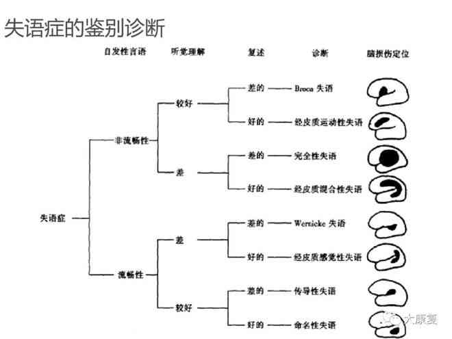 尼克失语症：症状、成因、诊断与治疗全方位解析