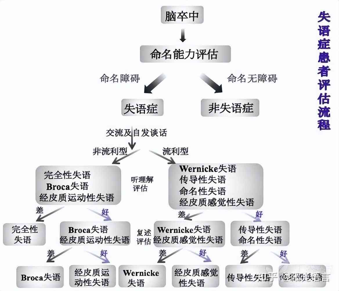 尼克失语症：症状、成因、诊断与治疗全方位解析