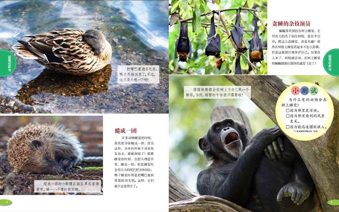 探索动物奥秘：全面解答关于动物行为、性、保护与趣闻的文案汇编