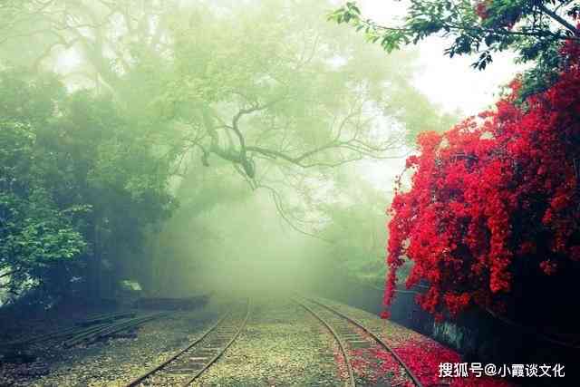 老年人偏爱的句子：我们老年生活岁月里，朋友间传递的喜欢与活的智慧文案