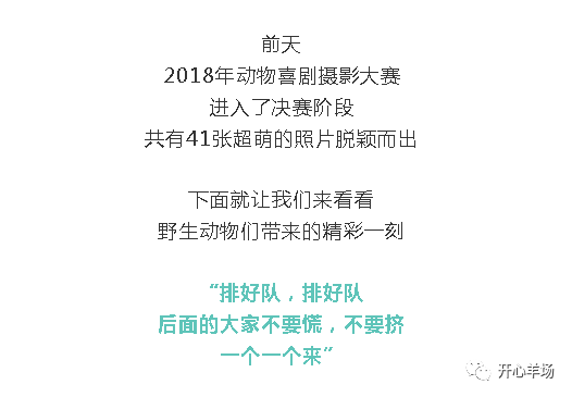 ai拍照的搞笑文案短句