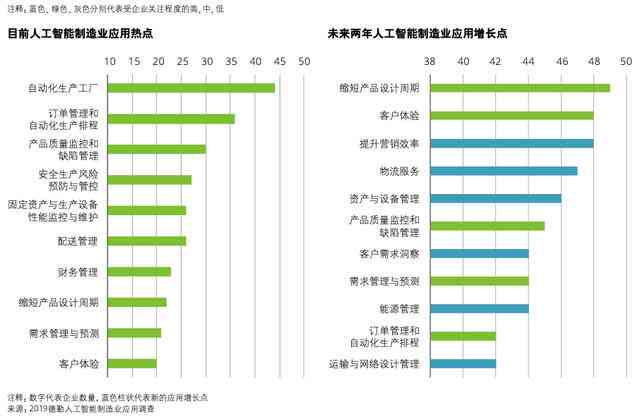 ai项目实训总结报告范文