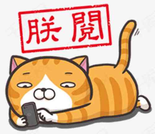 猫头表情包制作教程：精选素材、工具与创意设计指南