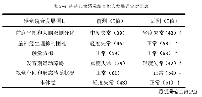 感统能力测评：训练与发展评定综合结果量表