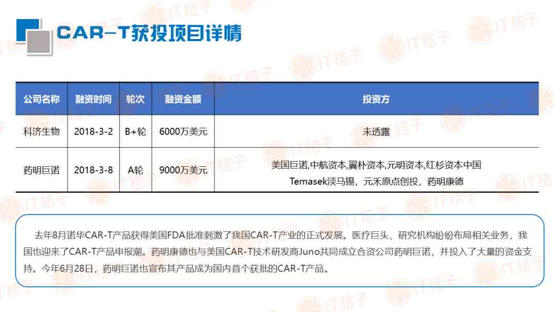 肃医疗健档案AI调查报告全文及深度解析：便民服务应用与信息平台一览