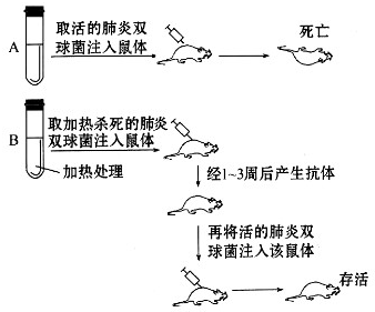 ai写作检测的原理有哪些-ai写作检测的原理有哪些方法