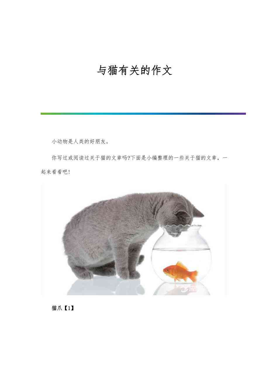 猫的作文精选：猫咪趣事与文学创作