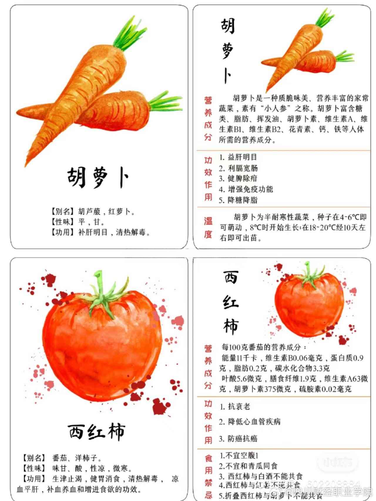 萝作者深度解析：全方位解答关于萝种植、营养、食谱及相关问题的指南