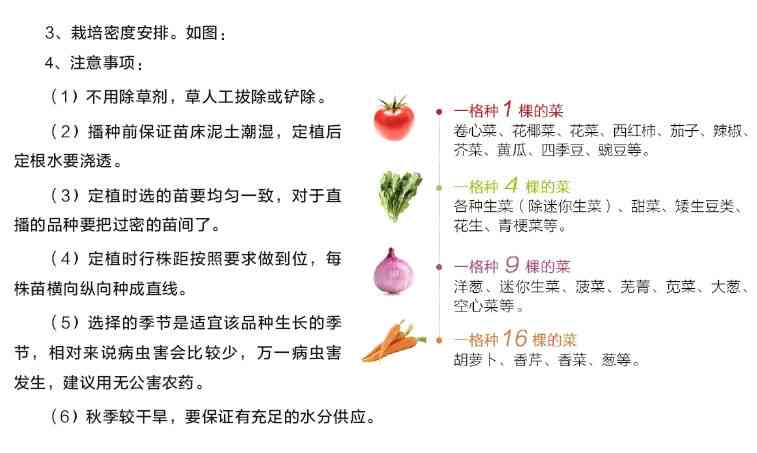 萝作者深度解析：全方位解答关于萝种植、营养、食谱及相关问题的指南