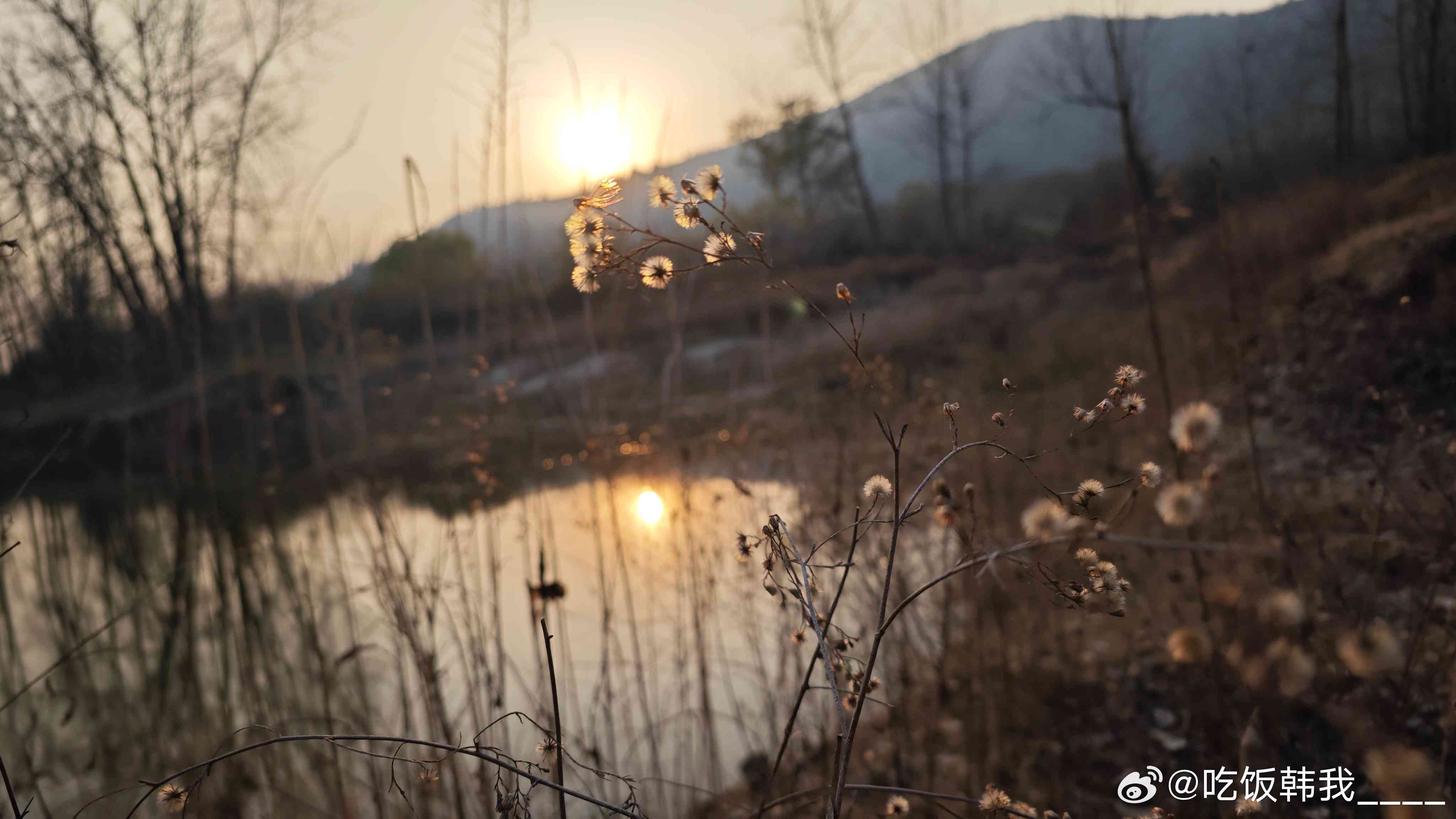 我们老家每一处自然美景，仿佛句句都是故乡风景的文案