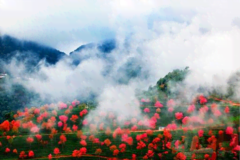 我们老家每一处自然美景，仿佛句句都是故乡风景的文案