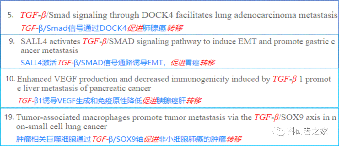 免费AI写作助手盘点：不限字数和使用次数的顶级工具一览