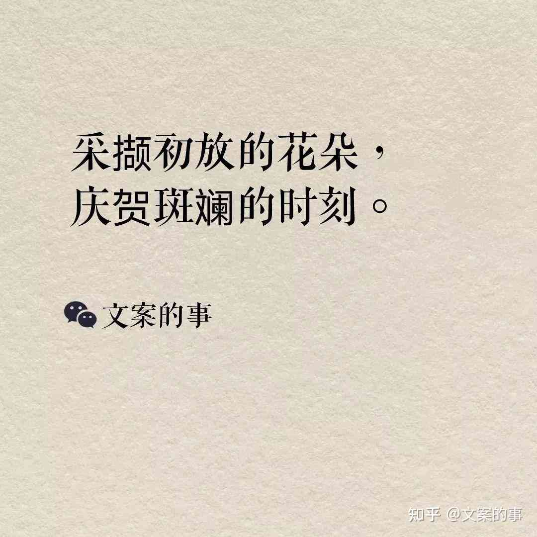 今日精选文案句子汇总：全面涵热门话题与创意灵感，解决各类文案创作需求