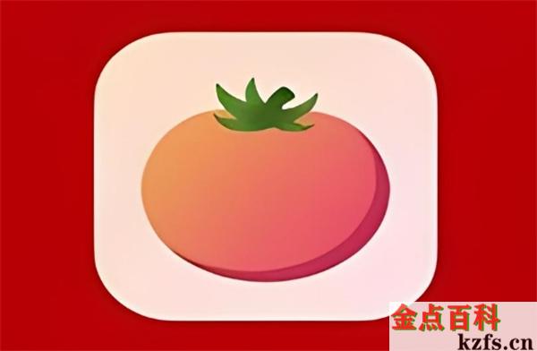 番茄小说AI写作助手详解：功能、应用与用户常见疑问解答