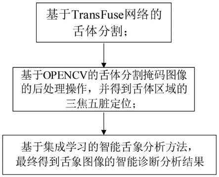 全面解读：人工智能AI在中医舌诊领域的应用与实验效果分析报告