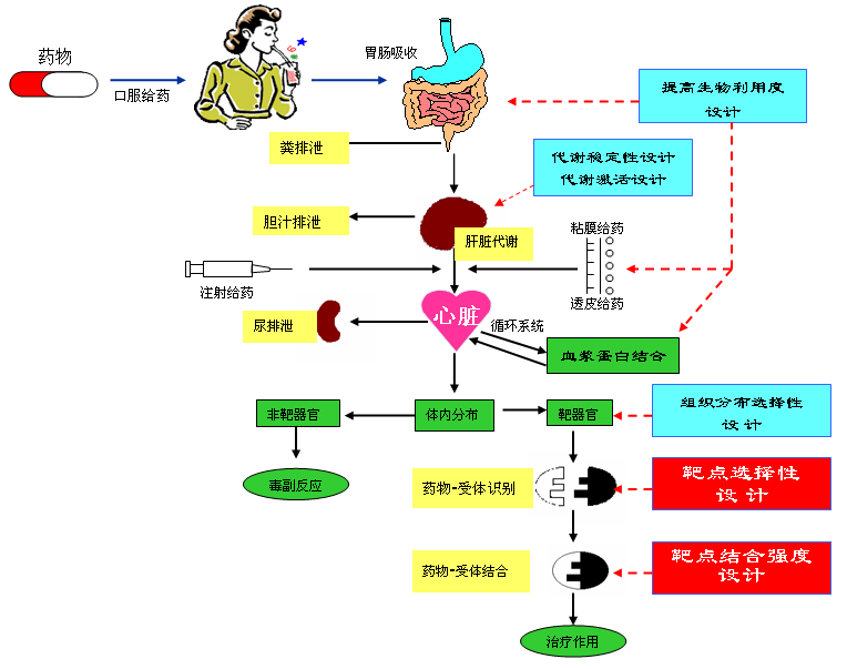 AI策划实战案例全集：全方位解析成功策略与执行步骤