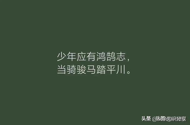 关于《起风了》的文案：唯美句子与短句精选