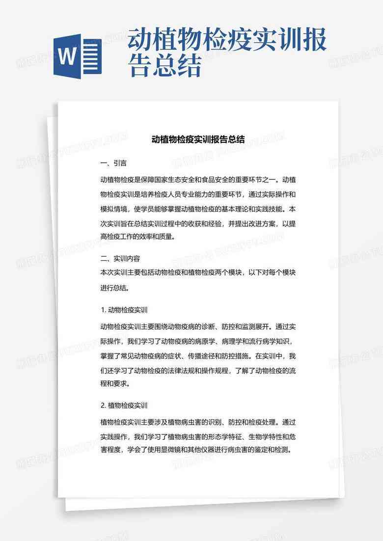 全面解析i财务实训心得体会与技能提升总结报告