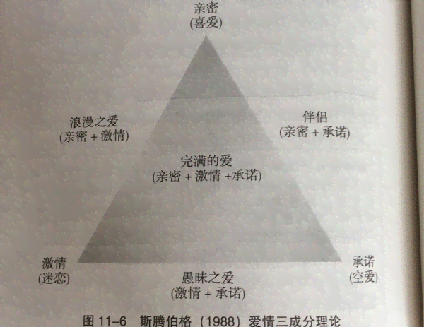 深入探索爱的哲学：全面解析情感智慧的原理与实践