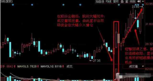 全方位掌握直播营销秘：巨量引擎直播营销实战攻略与案例分析