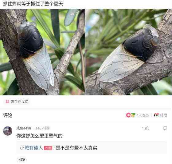 如何为蝉妈妈定制专属标签