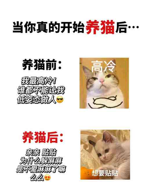 猫咪AI变身文案短句搞笑版大全集锦