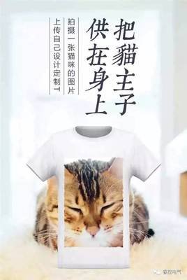 猫咪AI变身文案短句搞笑版大全集锦