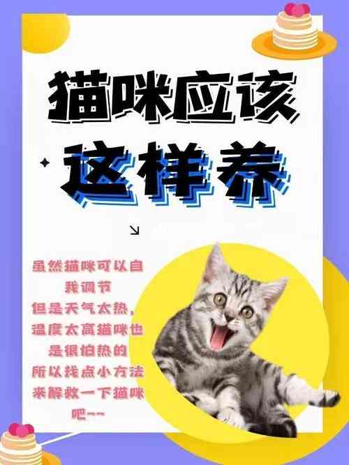 猫咪AI变身文案短句搞笑版大全集锦