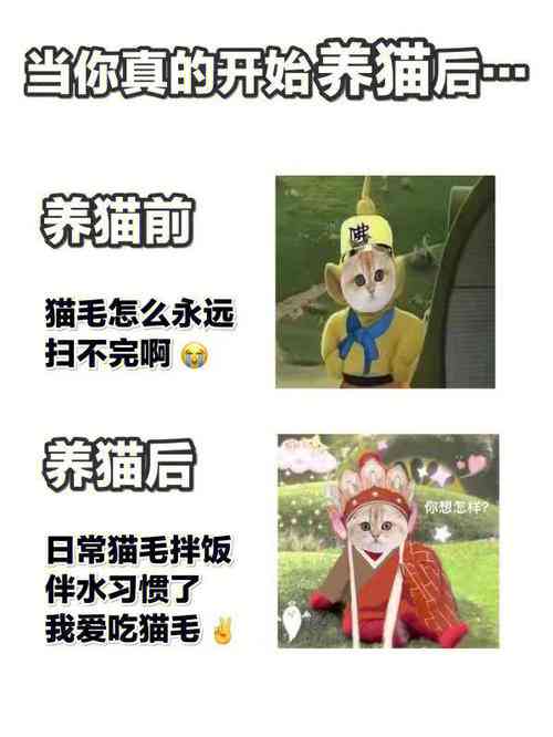 猫咪AI变身文案短句搞笑版大全集锦