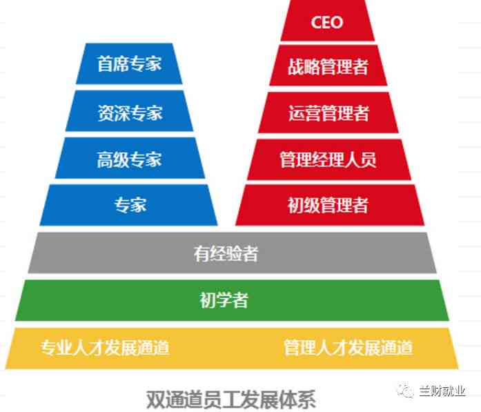 麦肯锡研究分析师职位详解：职责、技能要求与职业发展路径