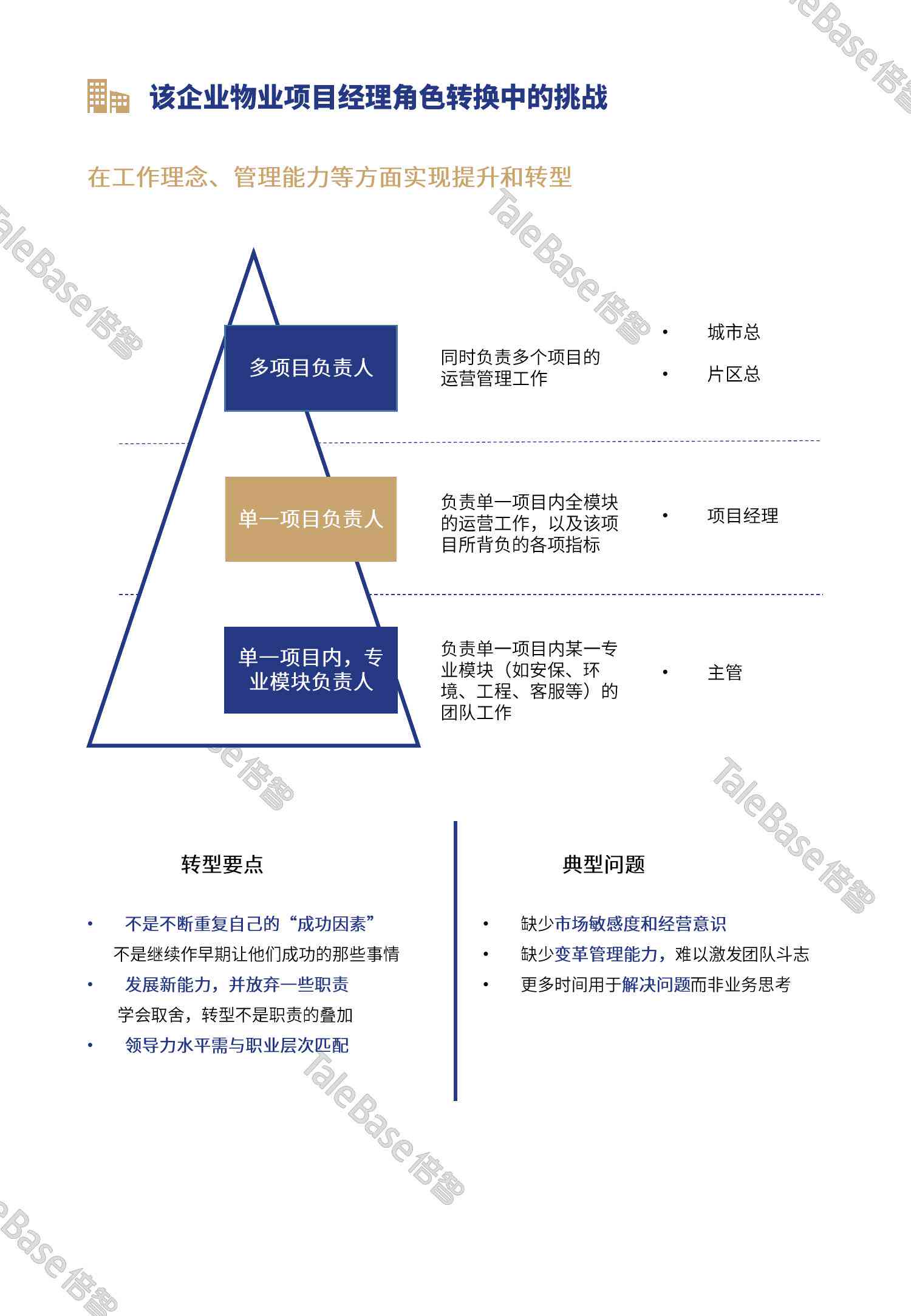 人工智能岗位人才画像深度分析报告及范文示例