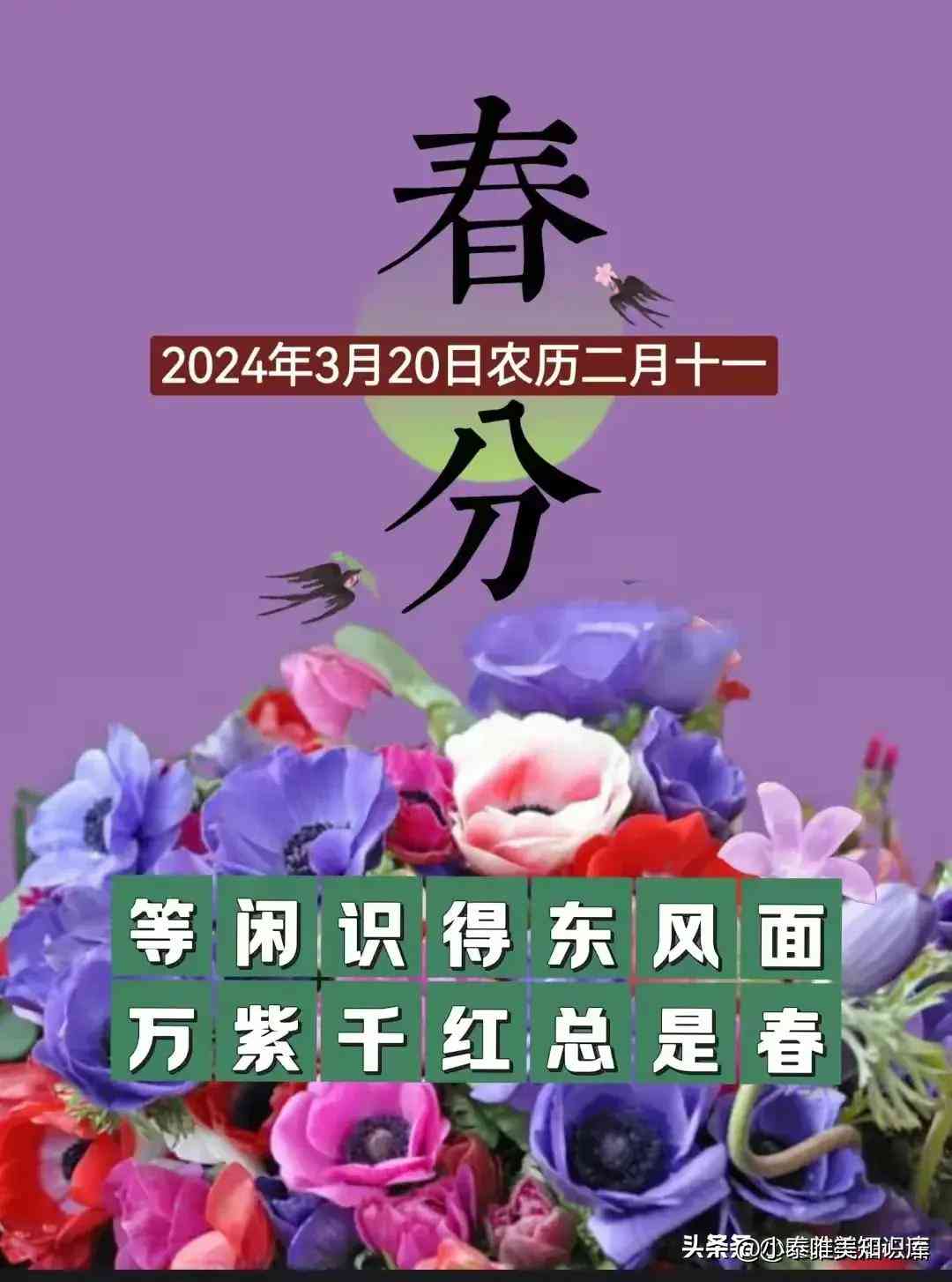 全面评测：2024年AI文案创作软件盘点，满足各类写作需求