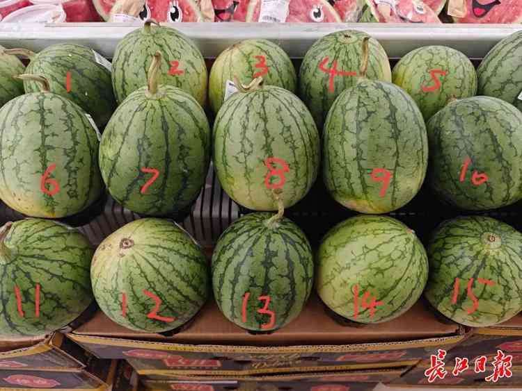 西瓜ai写作从哪里找