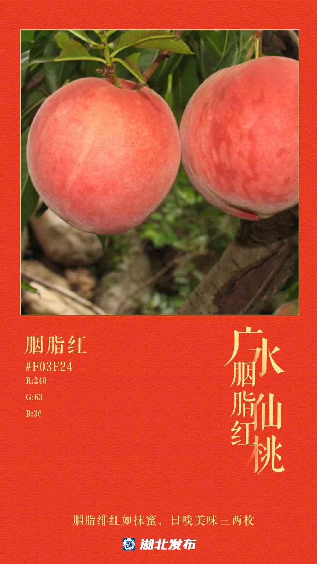 利用智能技术优化文案排版：自动生成与内容设计技巧